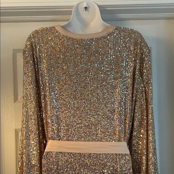 Scoop Rose Gold Sequin Dress - Picture 4 of 5